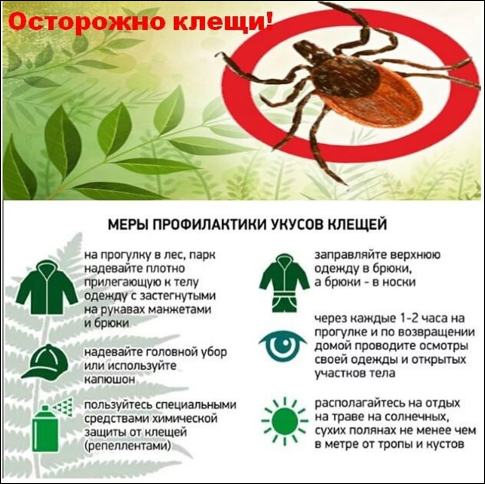 клещи.jpg